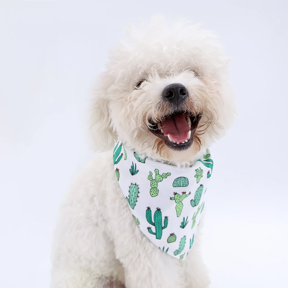 Factory Pet Collar Leash Bandana Set hot sale dog scarf bandana Best designer dog bandana with logo