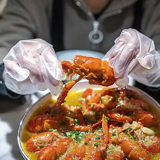 Homemade Sushi Gloves Disposable Plastic TPE Gloves Resistance to Stretch and Tear