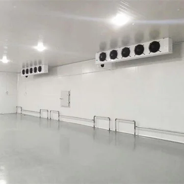 Walk In Cooler Condensing Unit and Evaporator for Cold Room