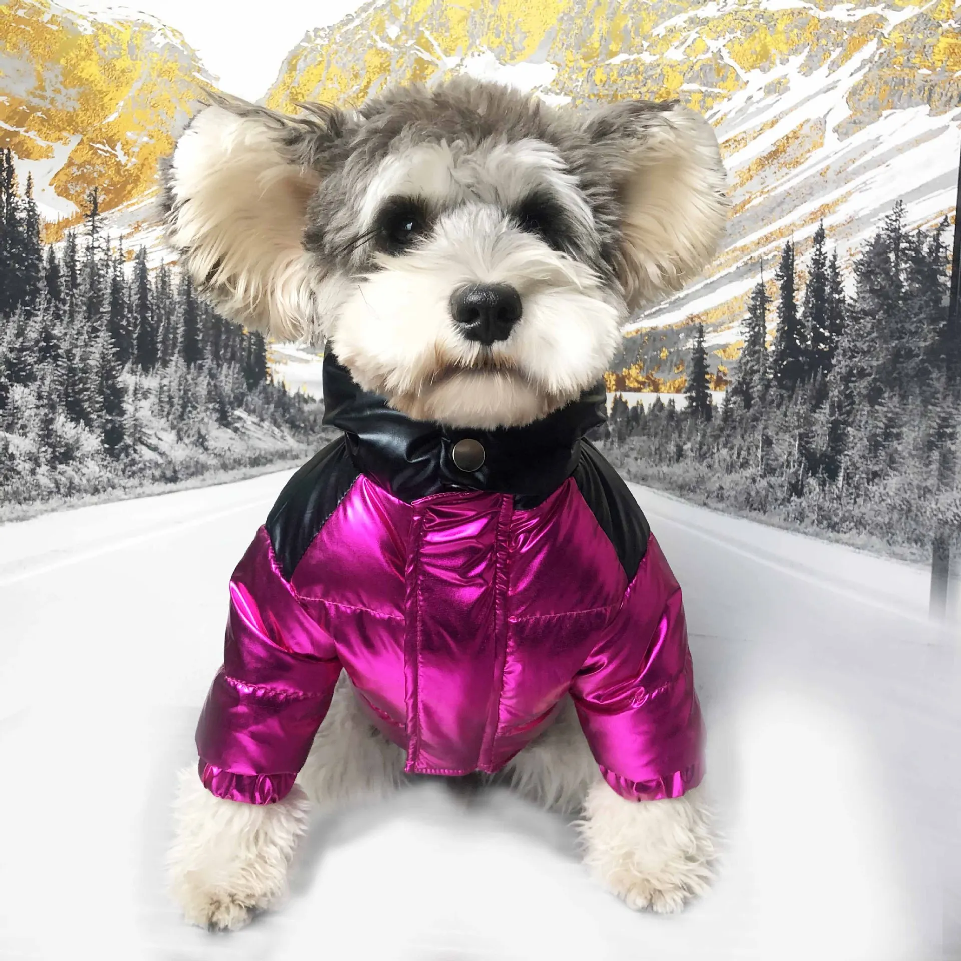 JXANRY Dog Popular Logo Down Coat Pets Winter Clothes Pets Down Jacket Teddy Coat Schnauzer with Fluffy and Thick Inner