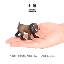 Wholesale Solid PVC Simulation  Statue Model 6 Pcs Wild Animal Toys Mandrill Figures Animal Toys Figurines