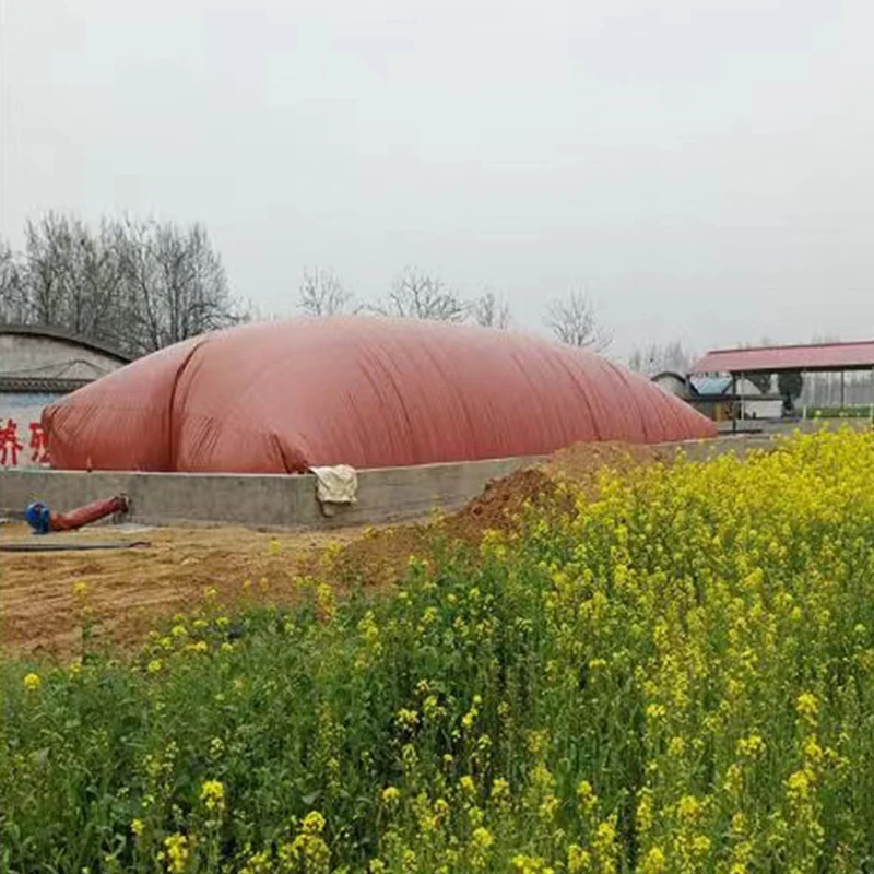 Пакеты для биогаза от производителя, мягкие биогазовые палочки Красной грязи, солнцезащитный и антифриз сельского небольшого биогаза