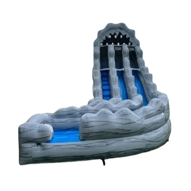 Customized Commercial Quality PVC Inflatable Water Slide Or Dry Slide Pool for Adult Inflatable Slides Waterslide For Sale
