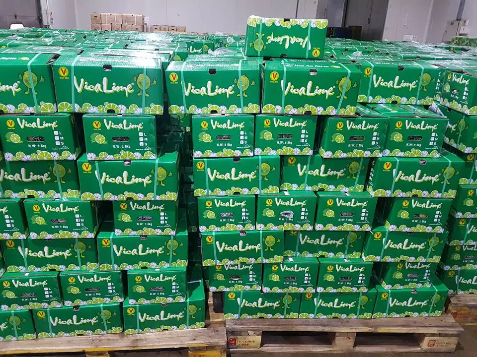 Exporting 2022 Vietnam Organic Fresh Green Seedless Lime Rich Quality Fresh Green Lemons at Bulk Price Fresh Citrus Fruit