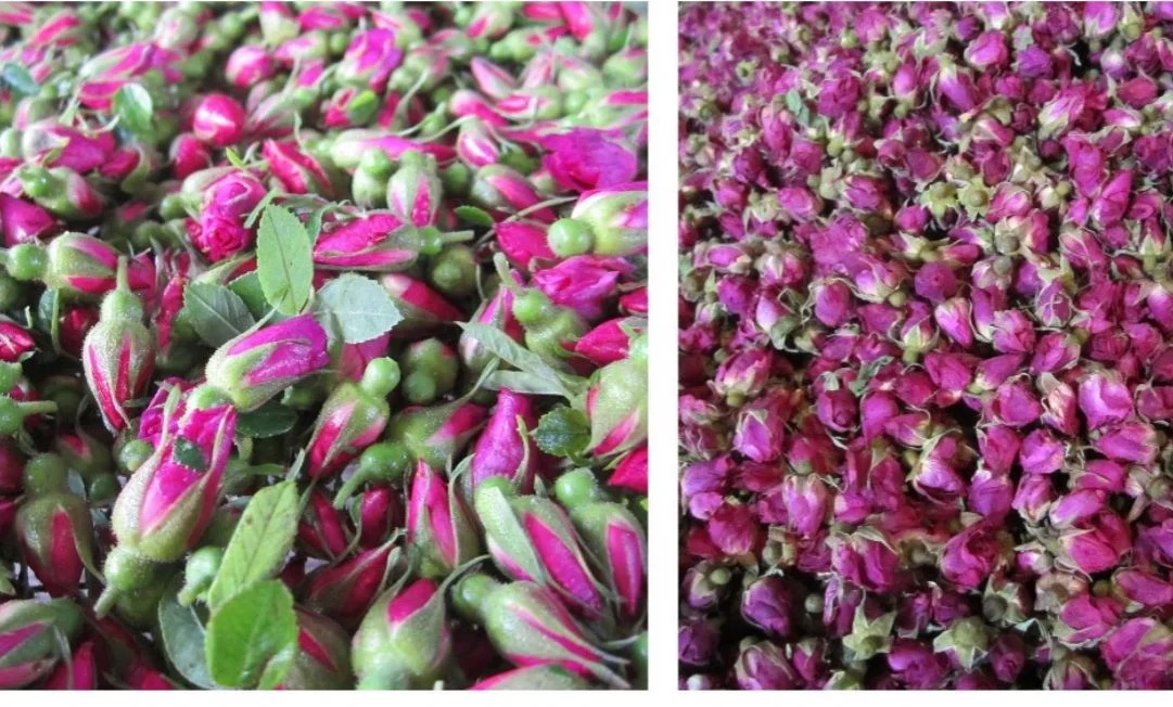 Large Capacity Dried Rose Dehydrator Dryer High Efficiency Beverage Drier Machine Hot Air Circulating Drying Oven