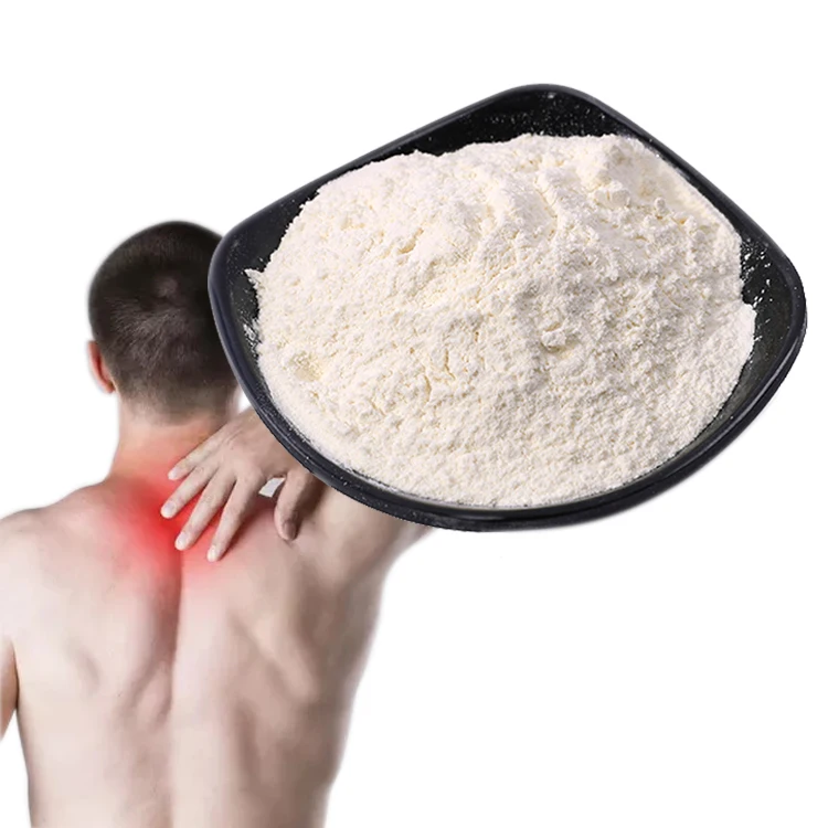 Top Quality Food Grade Marine Chondroitin Sulfate Pure Cas 9082-07-9 Chondroitin Sulfate