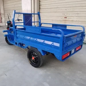 New Innovation wheel hub Truck freight tricycle for transportation