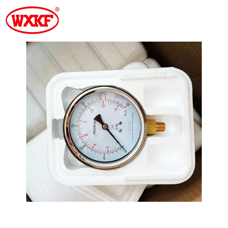 Chinese manufacturers Manometer Liquid Filled Pressure Gauges