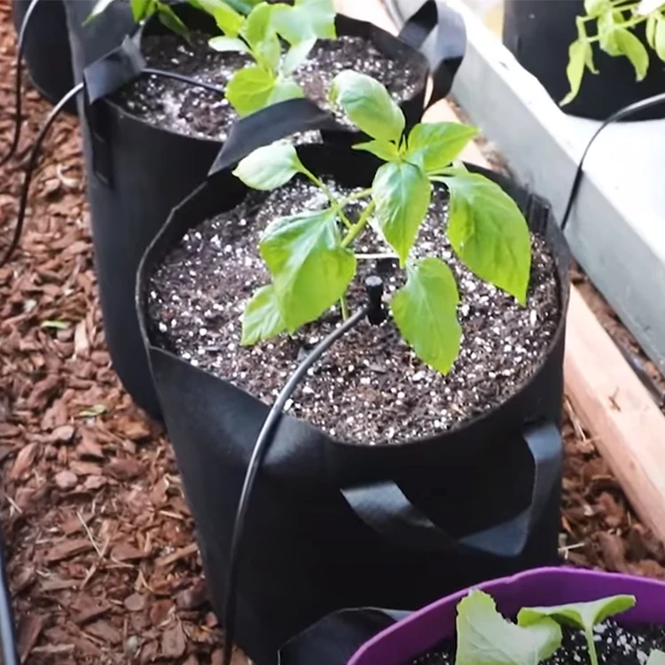 Yingreen New Arrival Customized 1 3 5 7 10 15 20 30 Gallon Non Woven Fabrics Grow Bag Plant Seedling pot