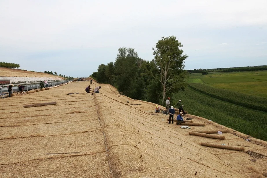 Современное одеяло из кокосового шелка