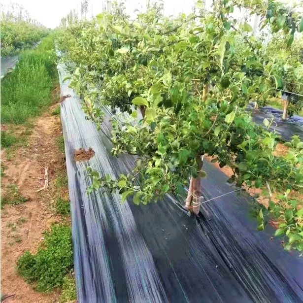 80g 90g 100g UV resistance PP woven Weed Mat Weed Barrier Landscape Fabric Factory