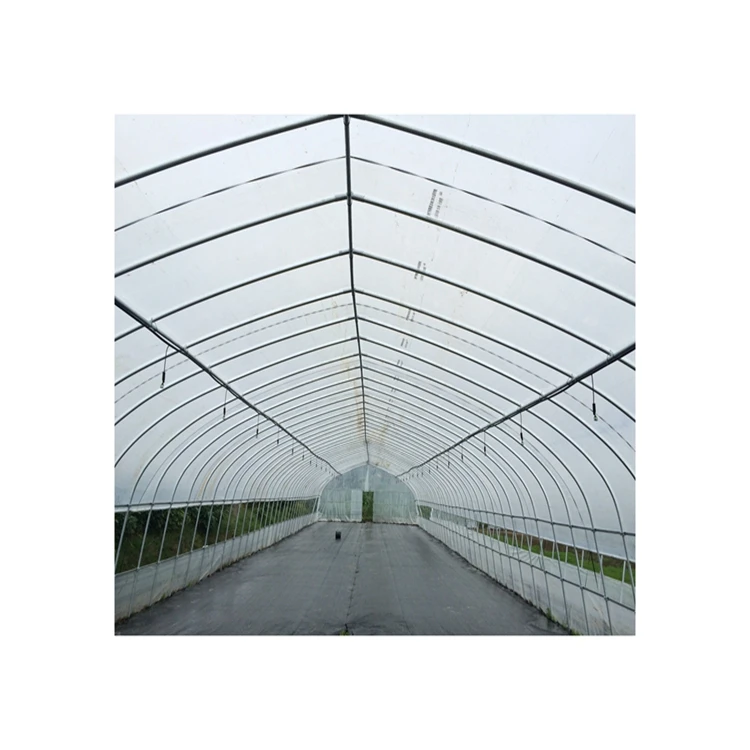 Hot Sale Factory Direct Bench Sprinkler Plastic Film Greenhouse