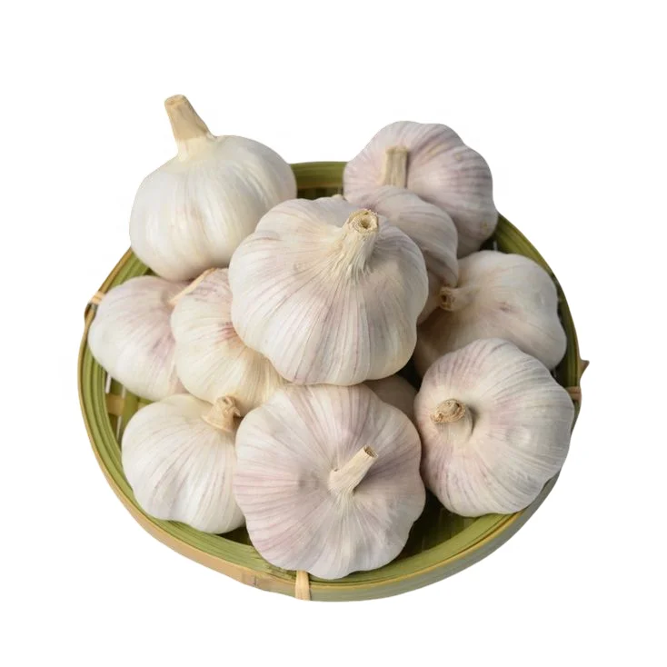 good quality and price from China xuanyi food Fresh Garlic /fresh garlic with high quality