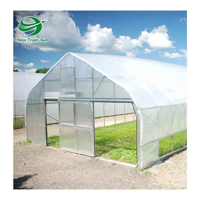 
Low Cost Agricultural Singlespan Plastic Film Tunnel Greenhouse 
