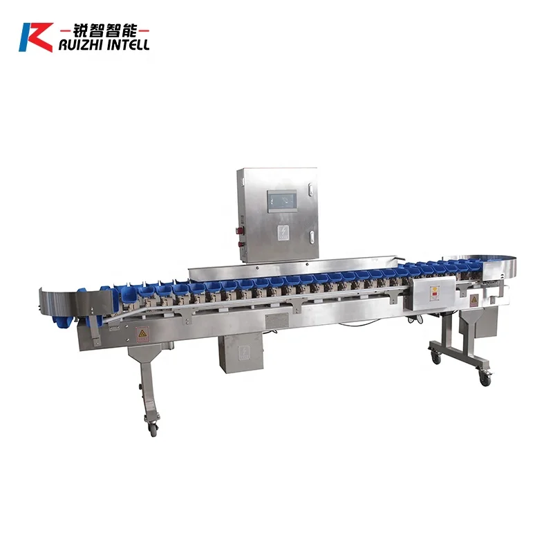 automatic sorting weight grading machine