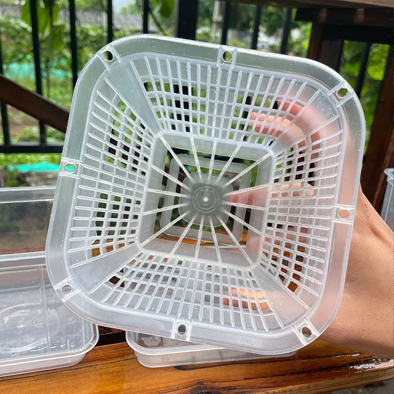 Phalaenopsis Square Planting Basket Garden Pots Clear Plant Net Mesh Pots Orchid Planter Pots Plant Container Transparent clear