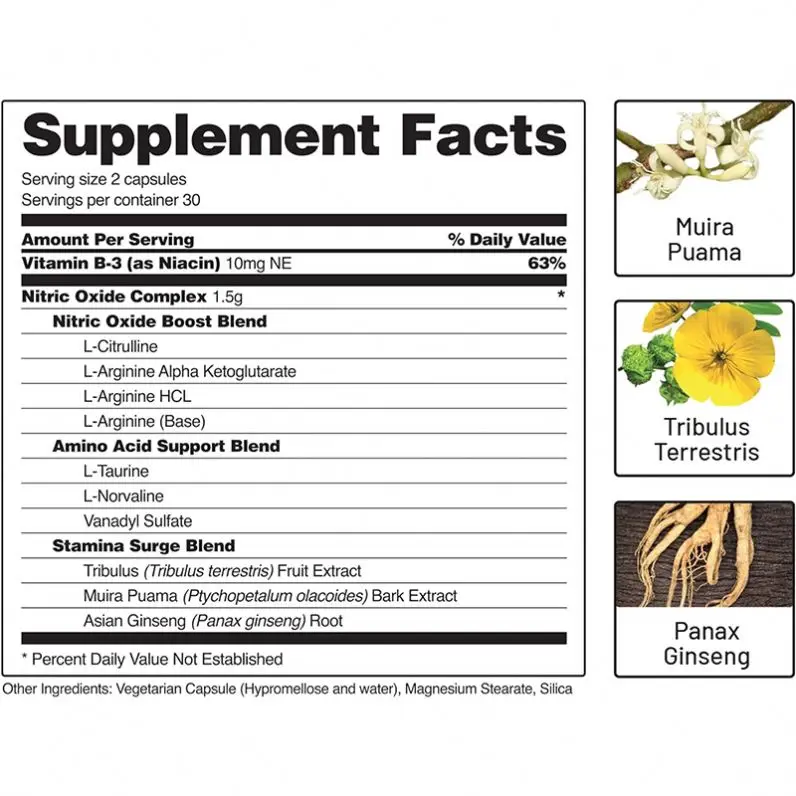 Nitric Oxide Booster, Performance Formula for Stamina  Endurance, 60 Count