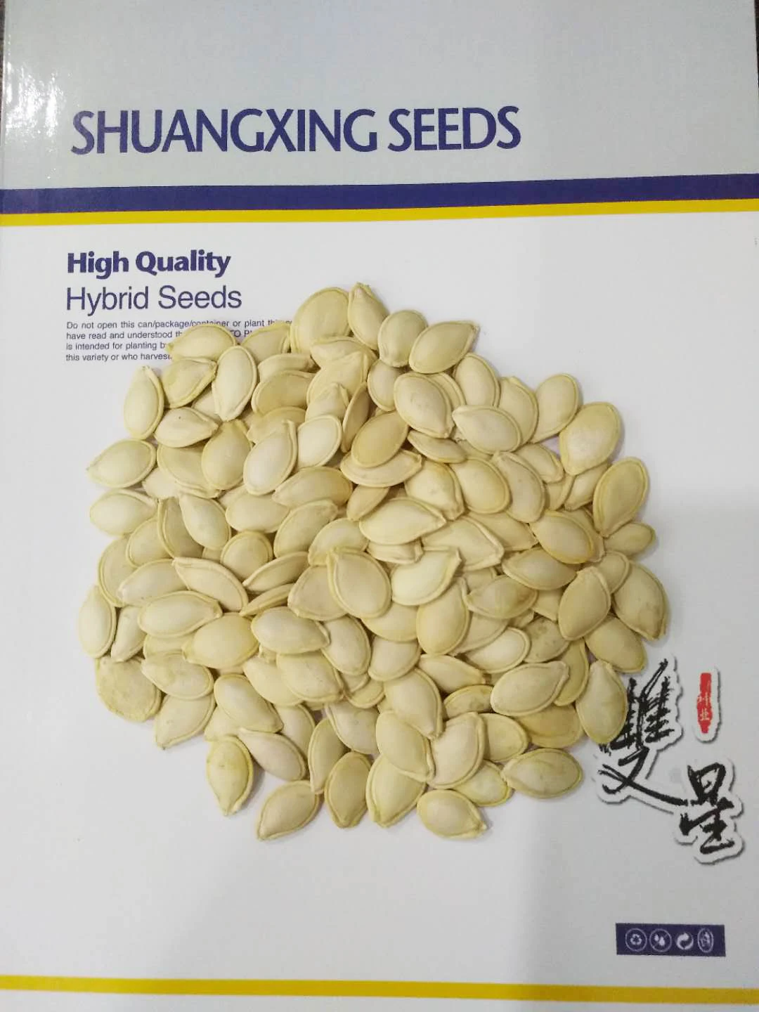 Bulby squash seeds light green early mature hybrid f1 summer squash seeds