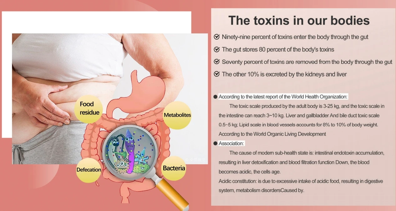 OEM/ODM weight control Boosts lmmune System Boost your metabolism Detoxification Slimming Enzyme jelly stick