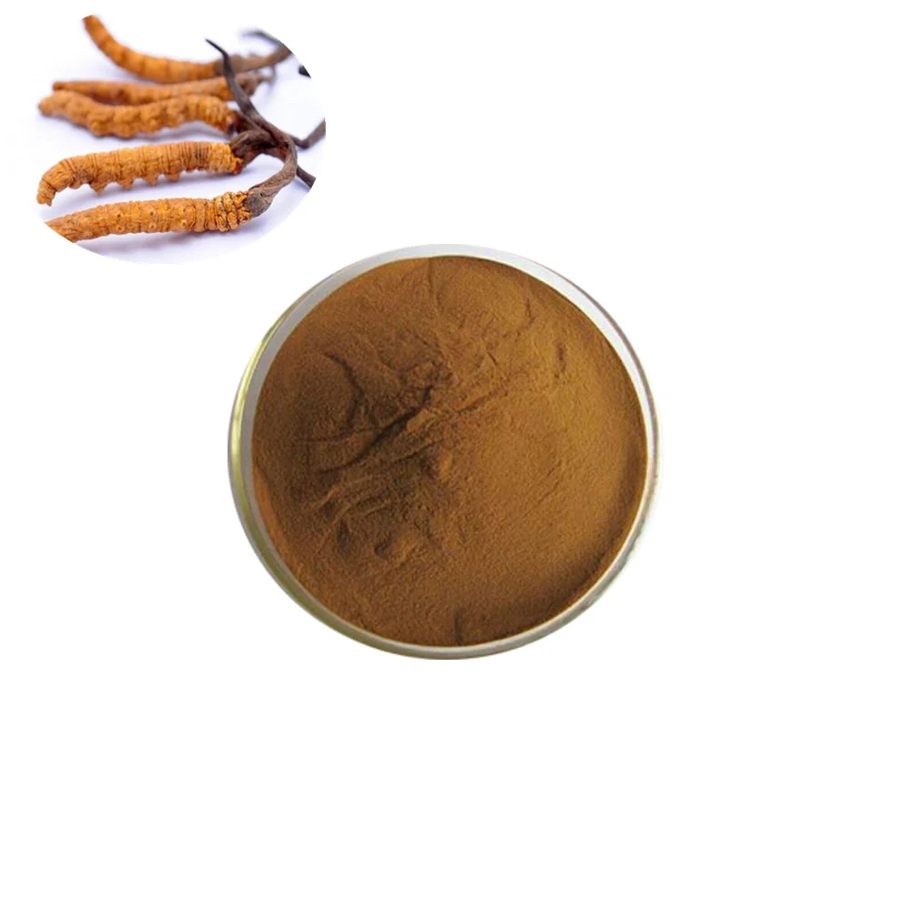 
High Quality Pure Natural Lowest Price Bulk Powder Cordyceps Sinensis Extract 