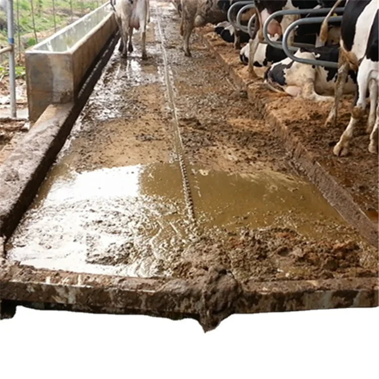 Siemens Control System Manure Scraper For Dairy Cow Farm , Manure Cleaning Machine