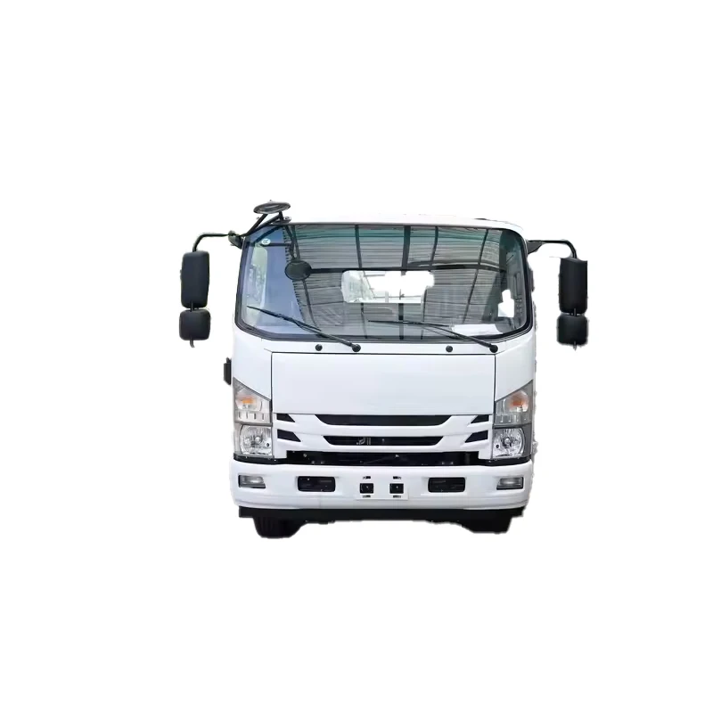 Isuzu Electric Mini  Bucket Truck Electric Cargo Truck Electric Truck Adults Vehicle