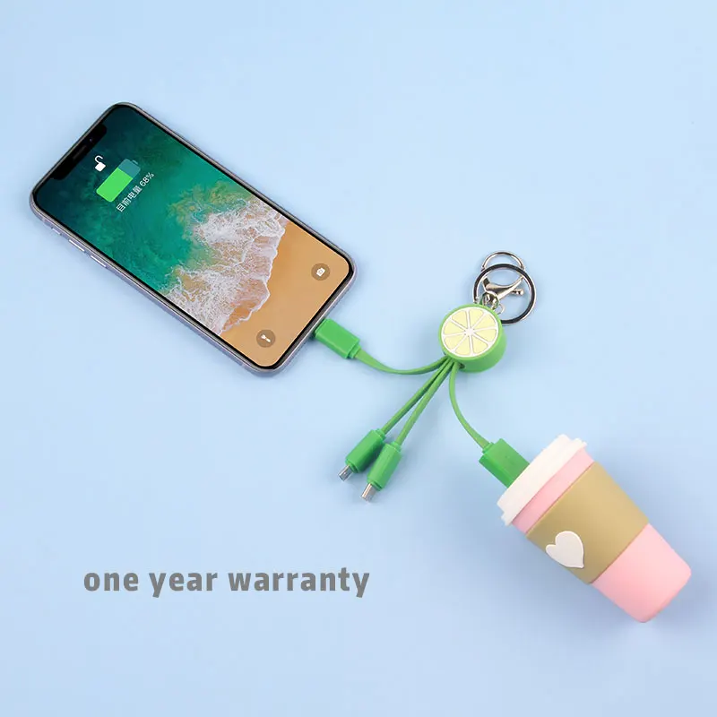 Custom 4 in 1 3 in 1 charger cable mobile phone keychain cable keyring cable Lime Charm fast charging pd charger
