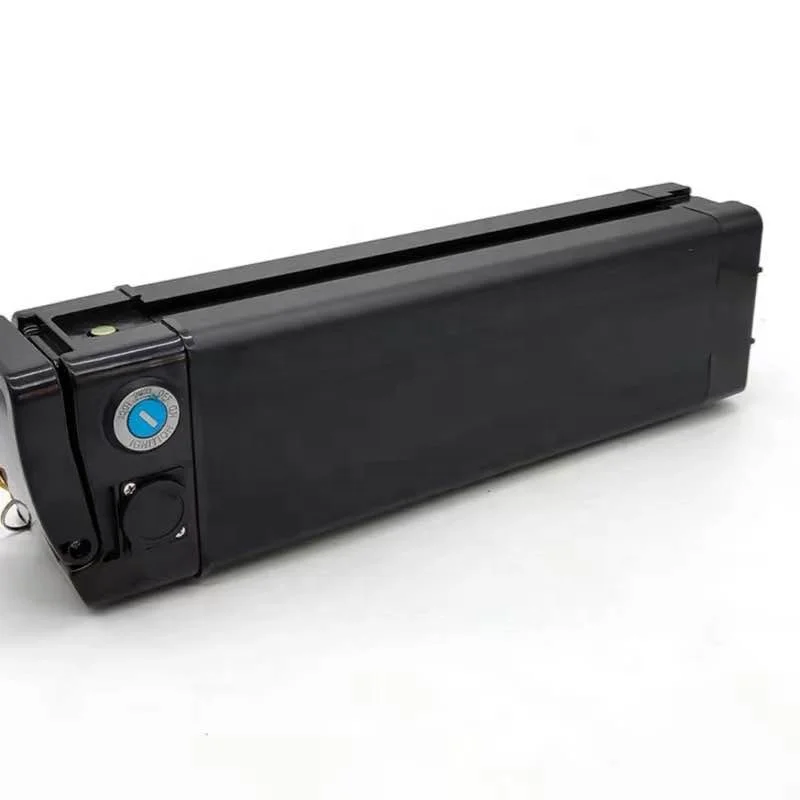 Light weight EBIKE BATTERY 36V 48v 10AH 20AH with silver fish hailong case