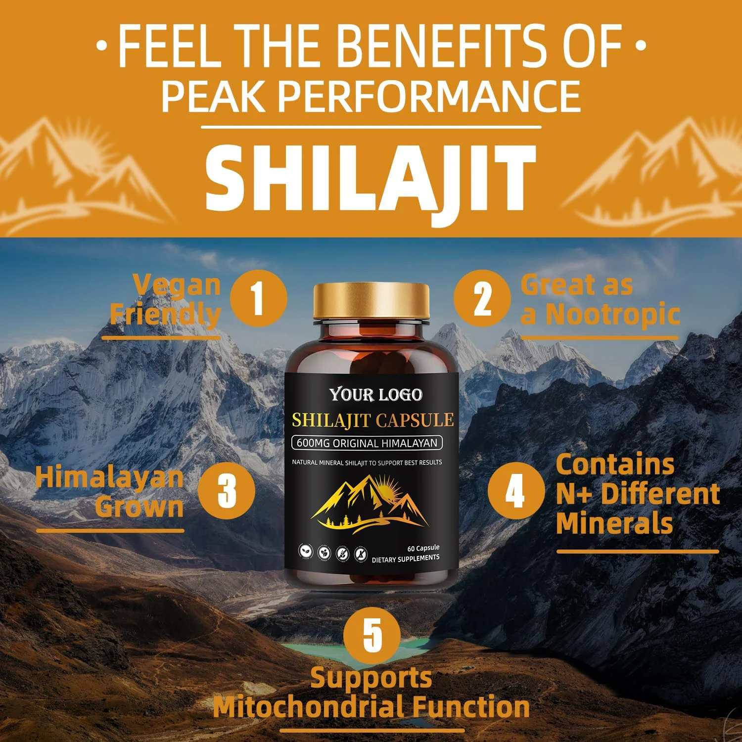 OEM/ODM Professional Organic Shilajit Capsules  Authentic Tablet Health Supplement for Energy Immune Support Anti Aging