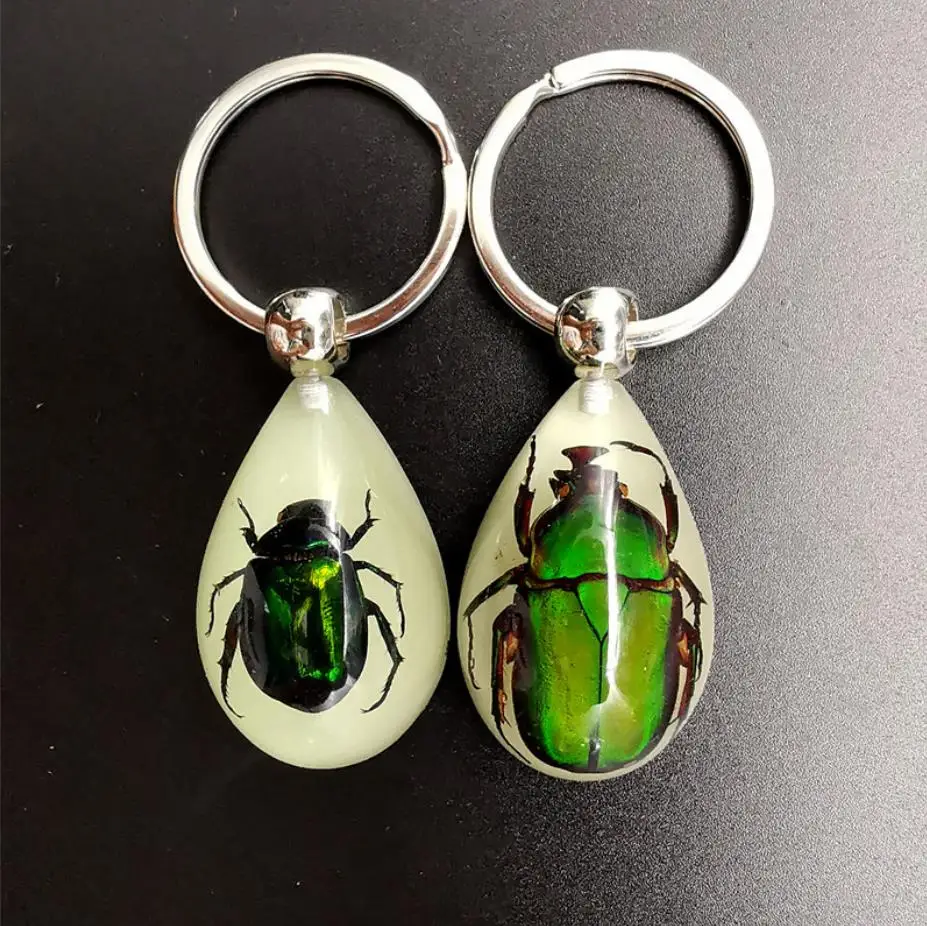 Wholesale Acrylic Plastic KeyChain Accessories Real Insect Inside Epoxy Resin Key Ring Amber Key Chain
