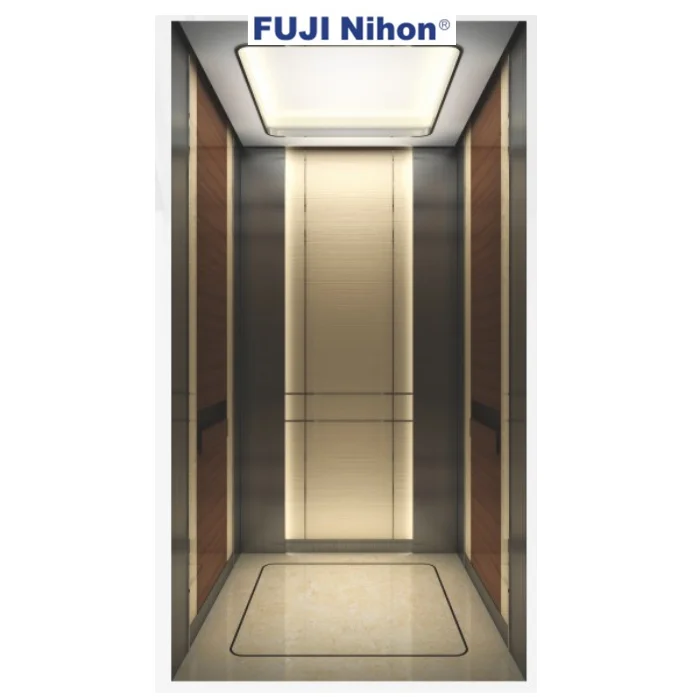 Customized Small Lifts Elevator hydraulic Luxury Villa Hot Sale China Residential Outdoor Marble Steel PVC Stainless Monarch