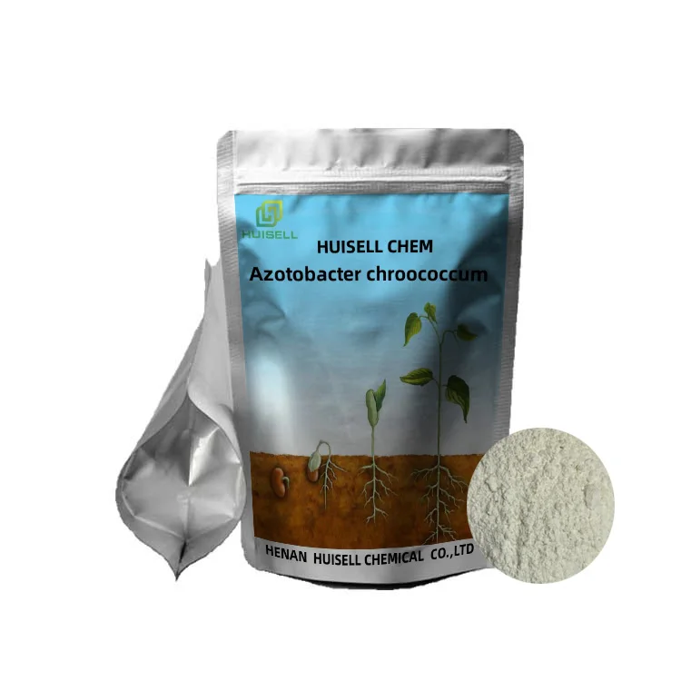 Bacillus Megaterium Amyloliquefaciens Pumilus Subtilis Licheniformis azотобактерия Chroococcum
