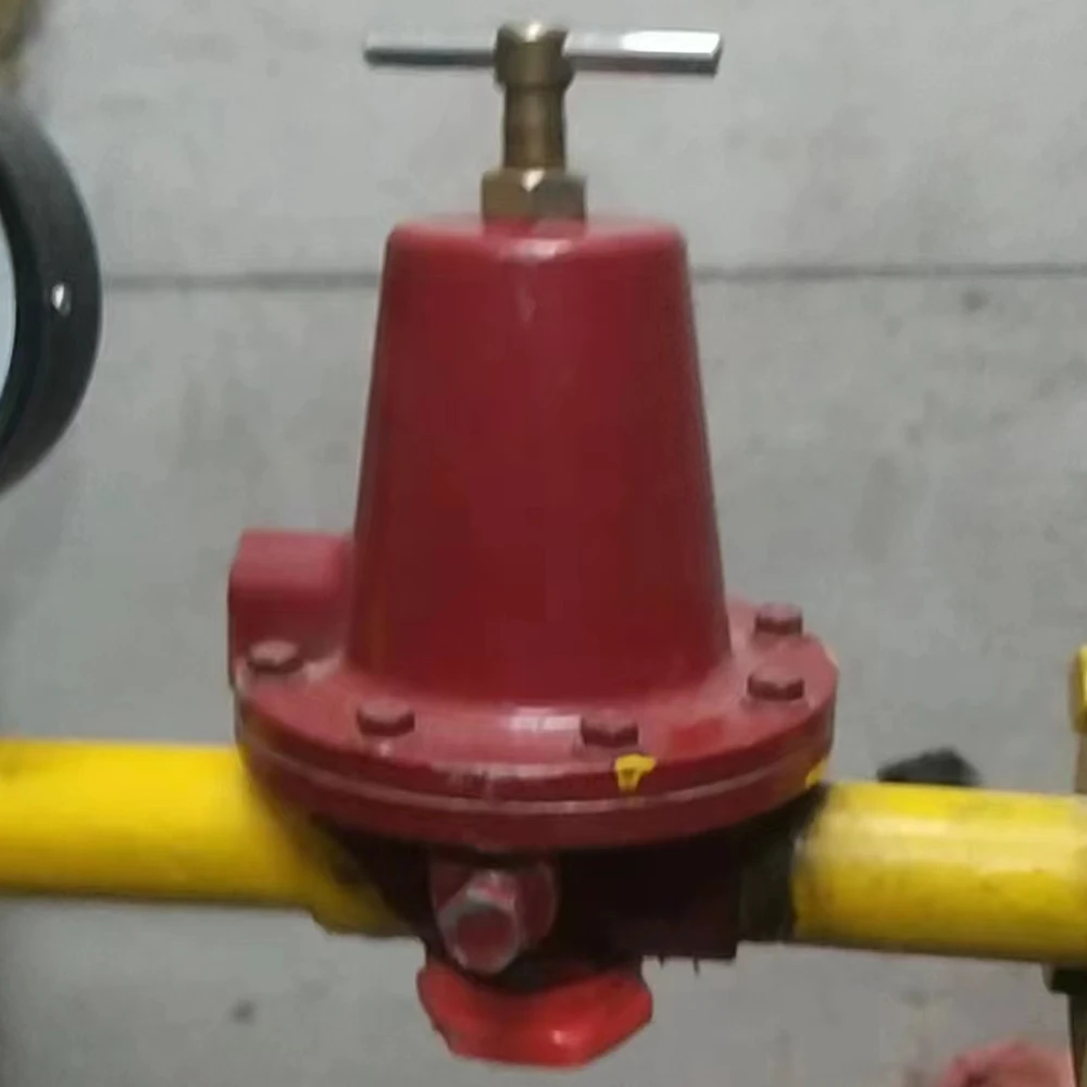 REGO X1588VN LPG промышленный регулятор первой ступени высокотемпературный редукционный клапан для термической обработки