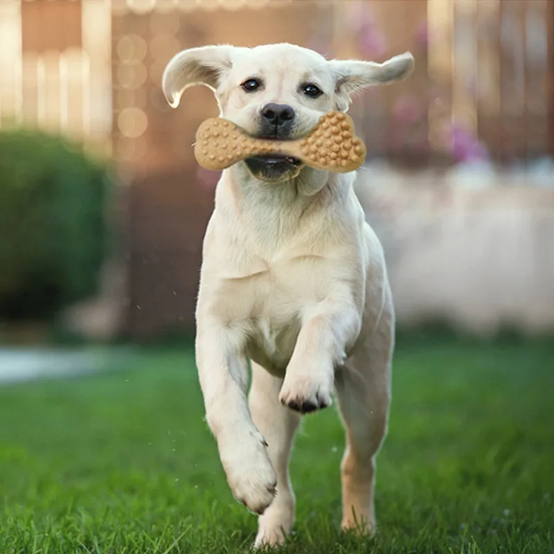 Durable Pet Dog Puppy Toothbrush Dog Dental Care Chew Bones Anti-anxiety Molar Toy