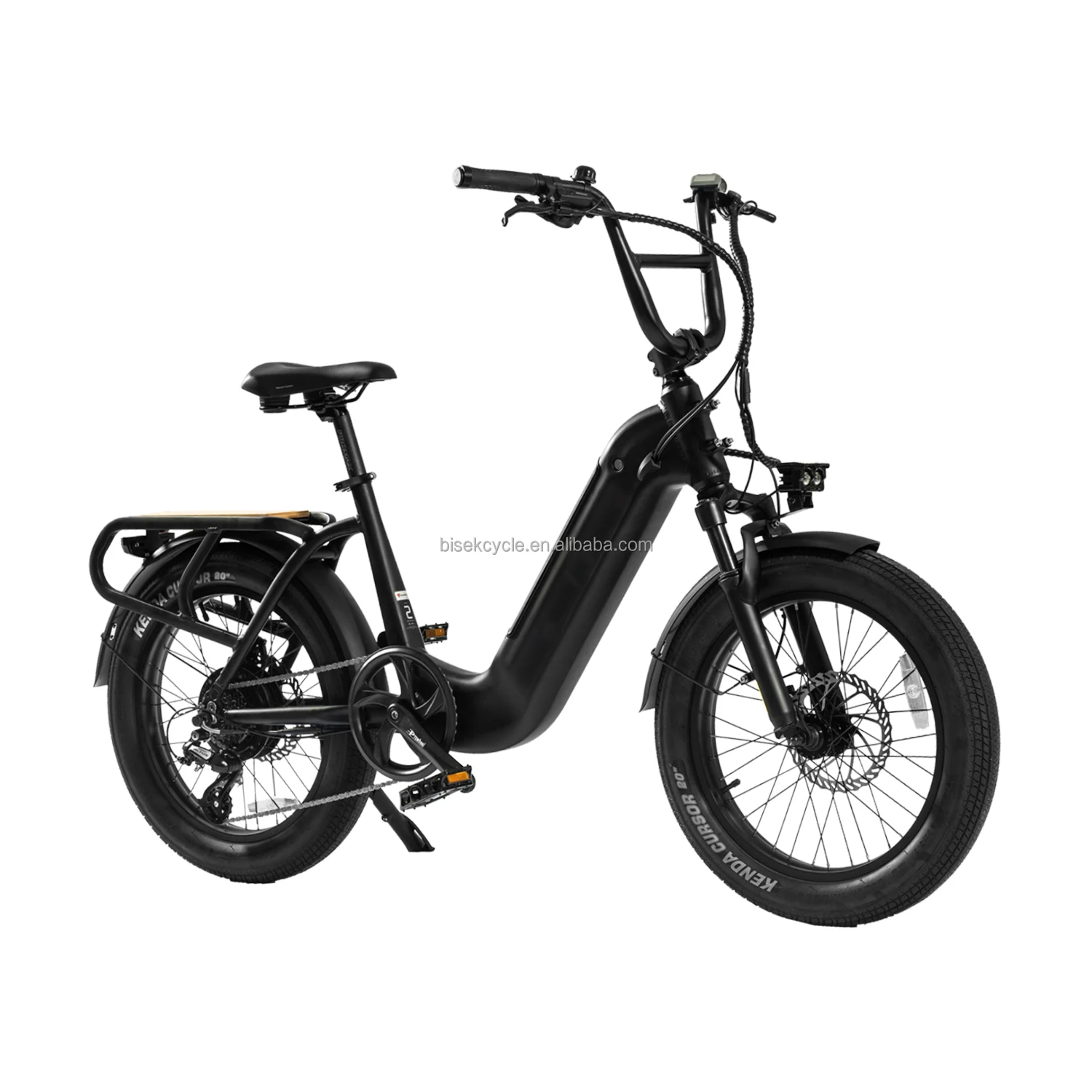 OEM 2024 OEM Factory Direct Supply Customized Color Fat Tire Lithium Battery Hydraulic Disc Electronic Ebike For Outdoor