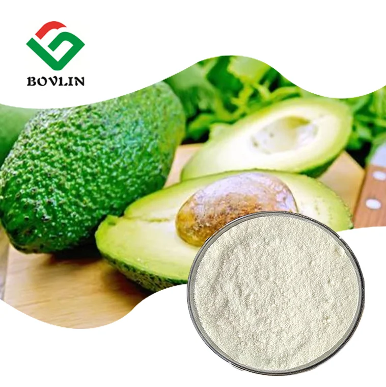 Natural Organic Spray Dried Avocado Powder Avocado Seed Powder