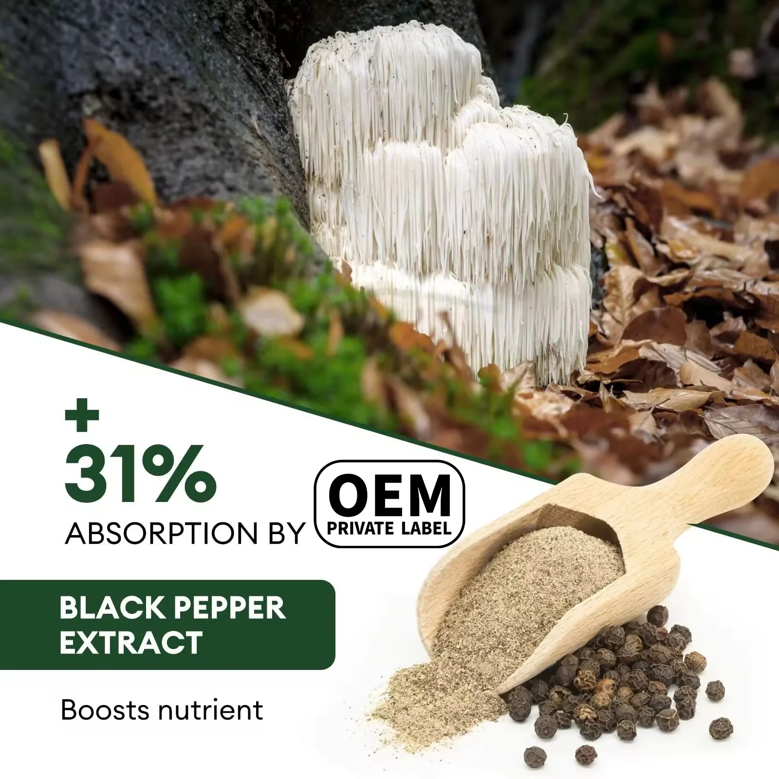 Herbal Supplements Lions Mane Mushroom with Reishi and Turkey Tail Support Focus Memory Immunity Mushroom Capsules