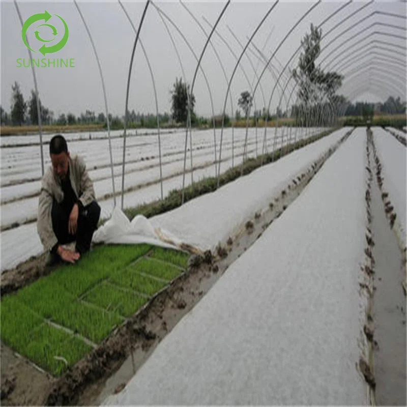 Eco-friendly Agriculture Nonwoven Fabric PP Spunbond Non woven Agriculture Cover