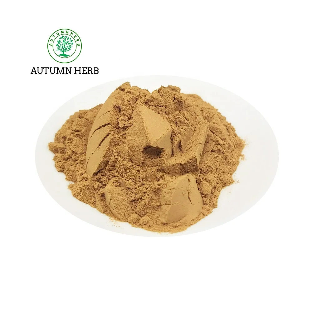 Herbal Supplements Sinensis Extract Dong Quai Angelica Root Extract