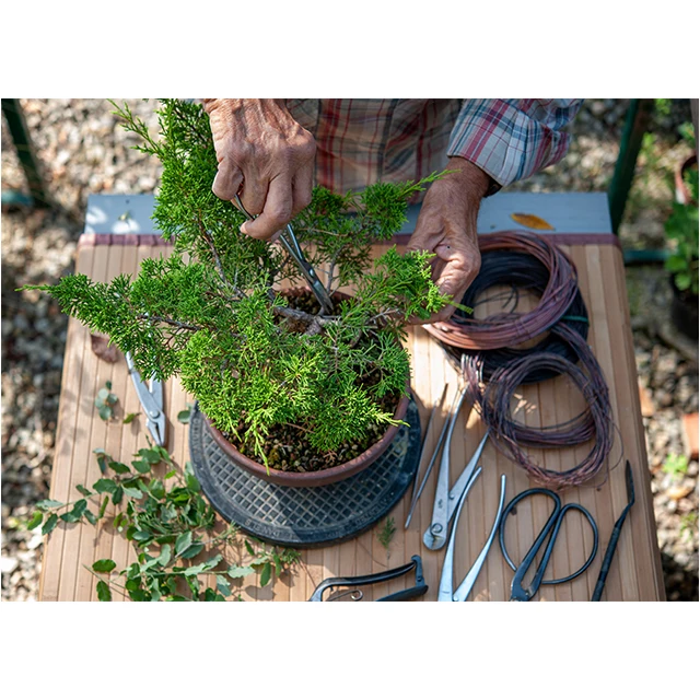 Plastic bonsai turntable with different kinds of types shapes