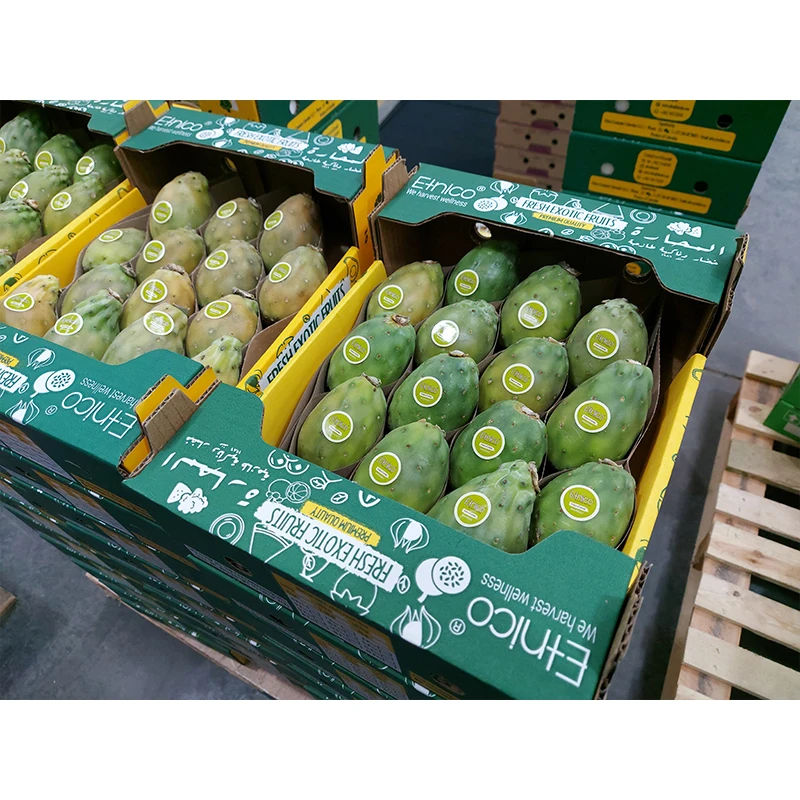 Etnico Non-GMO Certified Delicious Cactus Pear Pricky Pear Fresh Fruit