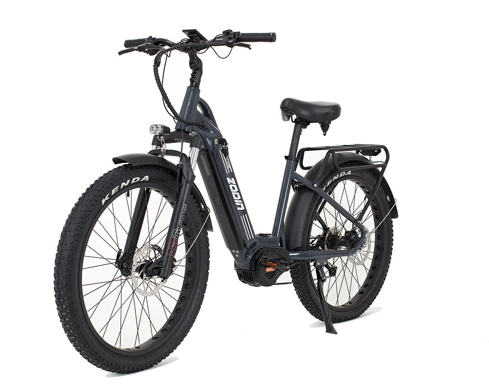 New Modern Style Electric Bike 750W 9 Speed