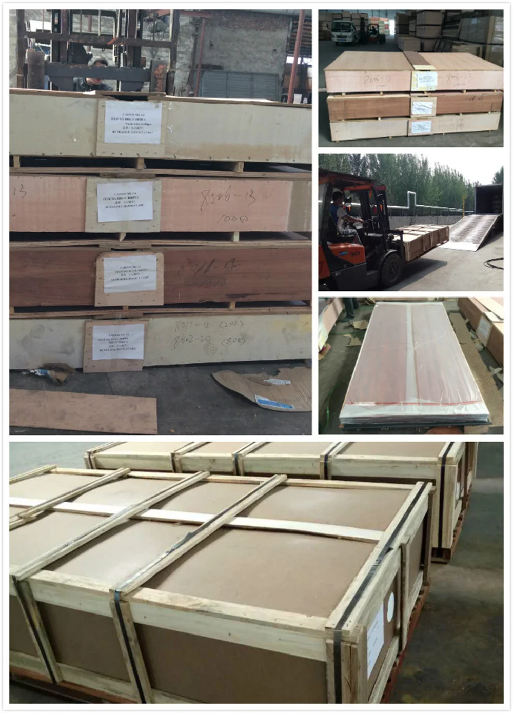 10712108544_252721857