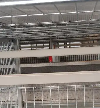 Chicken Coop Rooster Hen Mix Breeder Equipment Layer Chicken Battery Cage Chicken Cages for Farms