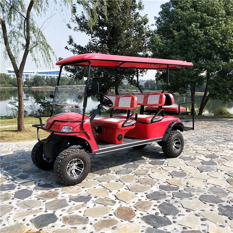 2+2 Seater Gas Electric Golf Cart