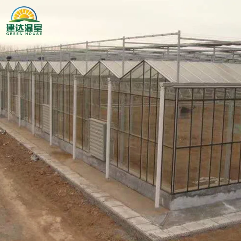 multi-span class Greenhouse restaurant green house frame with Heating and insulation system