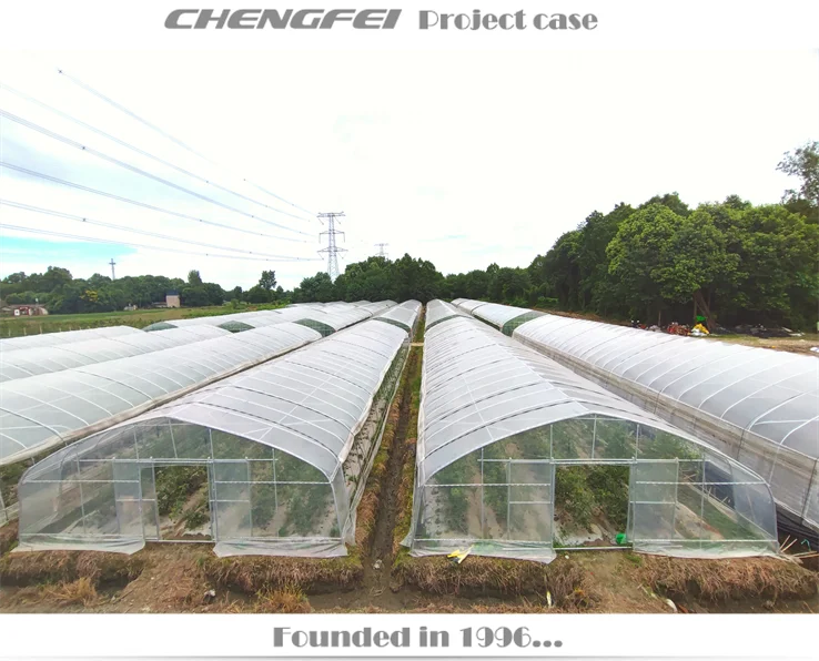 Commercial single span plastic film vegetable tomato strawberry flower price tunnel greenhouse for sale