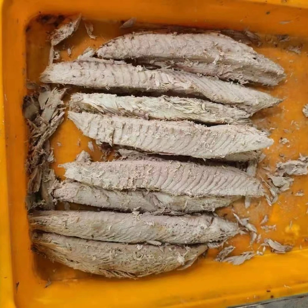 Discount offer Frozen Seafood Process Freezing Loin Type Weight From 7.5 kg Frozen Tuna Bulk Packing