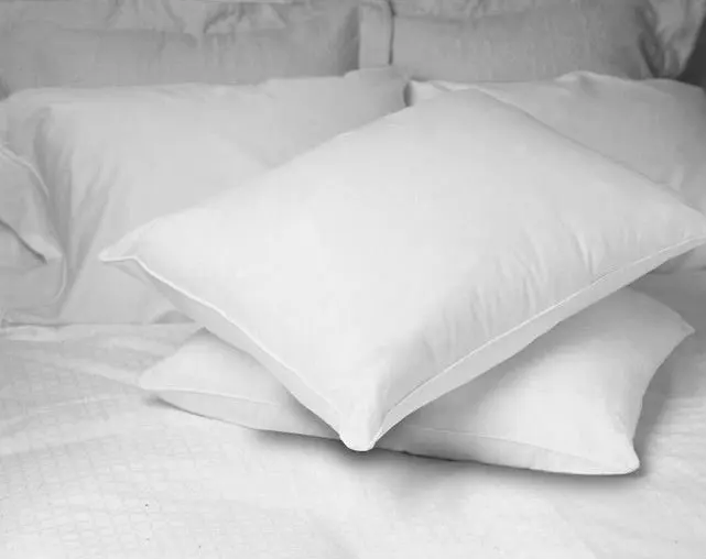 Living Room Cushion,Bedding  Decorative Pillow Square Form for Couch Sofa Bed Couch,Cushion Cover Cushion