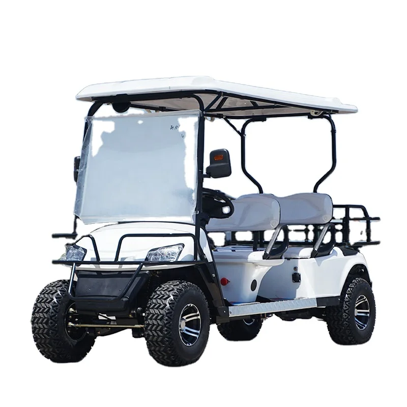 New Product Best Price Buggy Car  Electric Sightseeing Car 2 Seater 4 Seater Battery Operated Golf Cart for Sale